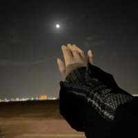 مها العقيل (@mahaaloqail) 's Twitter Profile