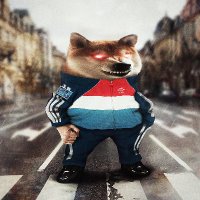 Lux Fella / NAFO ๐ฑ๐บ ๐ฆ ๐ป ๐บ๐ฆ ๐ช๐บ (@eric62599396) 's Twitter Profile