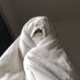 سـوير|المتناقضة (@sii0_u) Twitter profile photo سـوير|المتناقضة (@sii0_u) Twitter profile photo