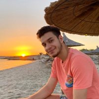 Sefa (@sfkcaa) 's Twitter Profile