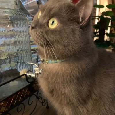 RaghadiGh's profile picture. مافي ولا نص فايدة في حسابي✌🏼EM Resident