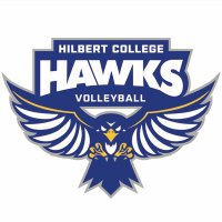 Hilbert Volleyball (@hilberthawksvb) 's Twitter Profile