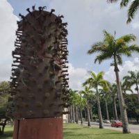 Universidad Simón Bolívar (@campusb) 's Twitter Profile