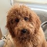 traintest_split's profile picture. Research Scientist. AI, machine learning and tech policy. after hours ai takes. passionate about data security, integrity, and cogsec