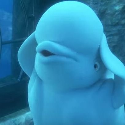 nanii_gmz's profile picture. .