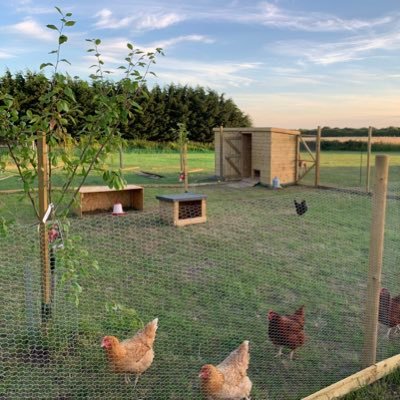 Moved to Lincolnshire to follow our Smallholding dream, a few mistakes , lots of hard work,plenty of laughs , and no regrets. I also follow Birmingham City FC