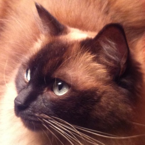 lloydandsonya's profile picture. 