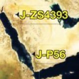 تحور P56 من أقدم التحورات العربية ظهرت عيناته في اليمن وجنوب مكه والمخلاف السليماني والخليج العربي .