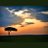 viaggi_kenya's profile image
