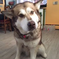 Erik Swanson (@theerikwswanson) 's Twitter Profile
