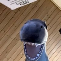 Rexo (@rexo_rl) 's Twitter Profile Photo Rexo (@rexo_rl) 's Twitter Profile Photo