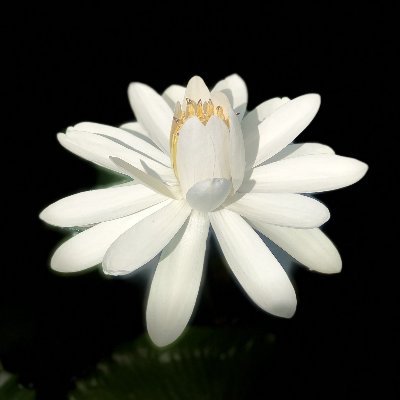 normandcass73's profile picture. 