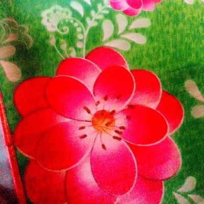 harzowa's profile picture. Doctor and professional in sargical