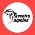Daventry Dolphins Swimming Club (@DDSCDavDolphins) Twitter profile photo