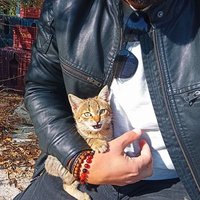 HakiG (@haki_g) Twitter profile photo