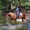 BenbrookStables's profile picture. Benbrook Stables is a full service, family-oriented equestrian center. We are on 80 acres, located in southwest of Fort Worth next to Lake Benbrook.