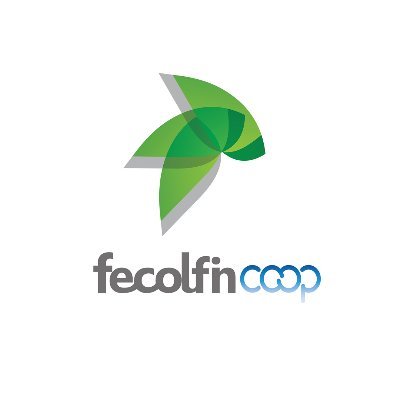 fecolfin Profile Picture