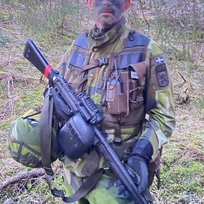 Lib.konservativ försvarsvurmare. Eldl. A4 10-9-9. Vara en nagel i ögat på tillbakalut. etabl.mang med skygglapp.! Vilken verklighet lever #Svpol i?🤨// Ingenjör