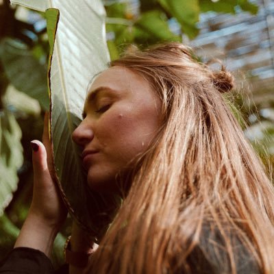 yoshitinnkerle's profile picture. 