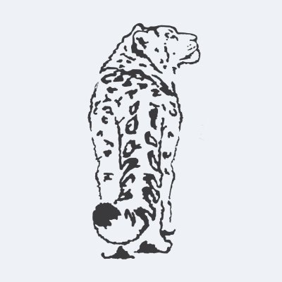 Snow Leopard Trust
