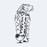 Snow Leopard Trust(@snowleopards) 's Twitter Profileg