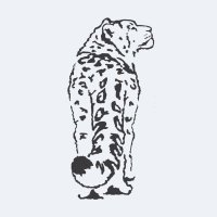 Snow Leopard Trust (@snowleopards) 's Twitter Profile
