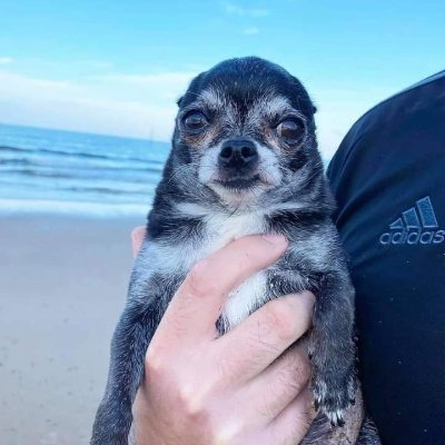 CocayDoritos's profile picture. 