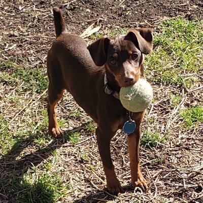 StrikeItRich74's profile picture. 