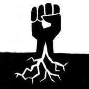 Black Grassroots Videos 🎥💥 (@blackgrassroot) 's Twitter Profile Photo