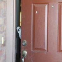 posts with ai captions (@tc_notcats) 's Twitter Profile Photo