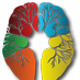 NEUROLOGÍA HC UASLP (@hcneurouaslp) Twitter profile photo NEUROLOGÍA HC UASLP (@hcneurouaslp) Twitter profile photo