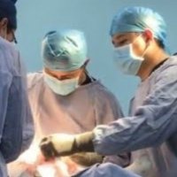 Jose Alfonso Derbez Lira (@drderbez8909) 's Twitter Profile