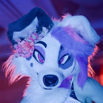 18+ Only! | she/her | SFW: @zoeydogy