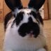 CEO of huge ears 🔞 (@casloafy1) Twitter profile photo CEO of huge ears 🔞 (@casloafy1) Twitter profile photo