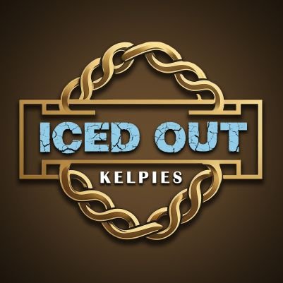 Iced Out Kelpiesさんのプロフィール画像
