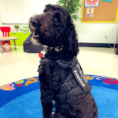 Justice is the first emotional support canine for the HISD PD. She’s trained & certified to provide mental health relief and comfort for all students and staff.