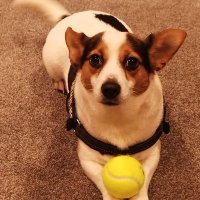 Ryan Mackenzie (@tunsh78) 's Twitter Profile Photo