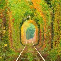 I'm Not Waiting, Life is Right Now (@techieblackline) 's Twitter Profile