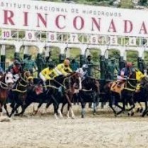 ❤️🏇🏇HOLA BIENVENIDO 🏇🏇❤️
PARA GANAR AL  5 Y 6  SOLO TIENES QUE JUGAR PAR DE LÍNEAS 
❤️🏇 HIPÓDROMO LA RINCONADA 🏇❤️
        ❤️ CARACAS 🇻🇪 VENEZUELA ❤️