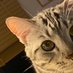 kmnt (@khamintz) Twitter profile photo kmnt (@khamintz) Twitter profile photo