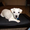 clay greene - @claygreene1 - Twitter