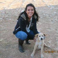 Nuria (@nsolca) 's Twitter Profile