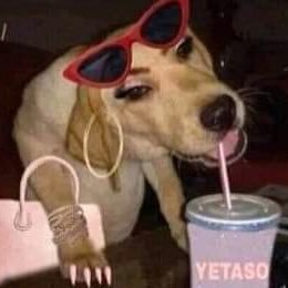 izabelosacg's profile picture. amani