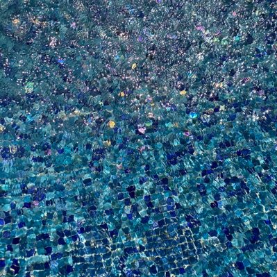 kaiTakenoko's profile picture. 🏳️‍🌈