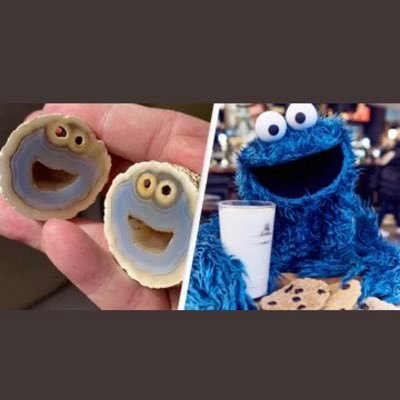 MaitrayeeVadali's profile picture. 