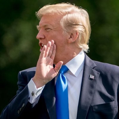 DaleMor3's profile picture. |Maga country🇺🇸| “You take freedom away from the American people you’re playing with fire”🇺🇸