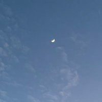 J (@unemployedpuppy) 's Twitter Profile