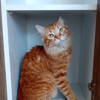 Bambam Fipi yendi 😻
74/84
Gözlem 84/84
İnstagram:fip.savascisi.bambam