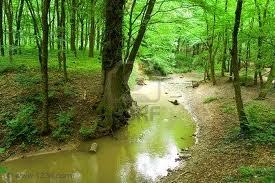 GreeneBrooke1's profile picture. My work here on this planet is to serve the Lord and build up the church body.