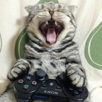 jacoeb (@jacoebyt) 's Twitter Profile